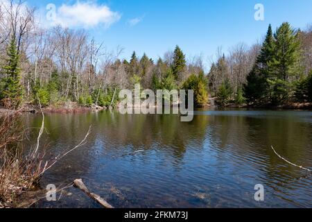 A small unnamed pond in the Adirondack Mountains, NY wilderness in early spring. Stock Photo