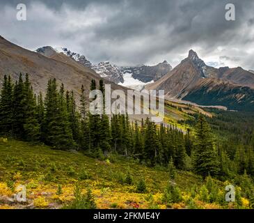 View of mountains and glaciers, Mount Athabasca and Hilda Peak in autumn, Parker Ridge, Icefields Parkway, Jasper National Park National Park Stock Photo