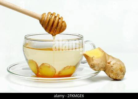 Ginger tea with honey, and Ginger (Zingiber officinale) ginger Stock Photo