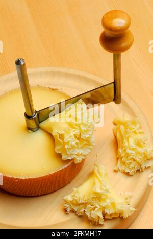 Shaving tete de moine cheese using girolle knife. Monks head. Variety of  Swiss semi-hard cheese made from cows milk Stock Photo - Alamy