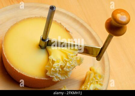 https://l450v.alamy.com/450v/2fkmh1j/cheese-tete-de-moine-with-rotating-knife-girolle-cheese-rosettes-monks-head-2fkmh1j.jpg