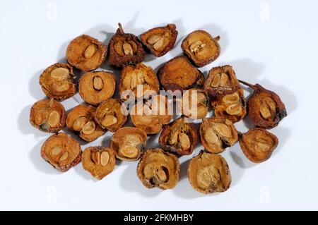 Crataegi Fructus (Crataegi Fructus), Shan Zha, freehand, object Stock ...