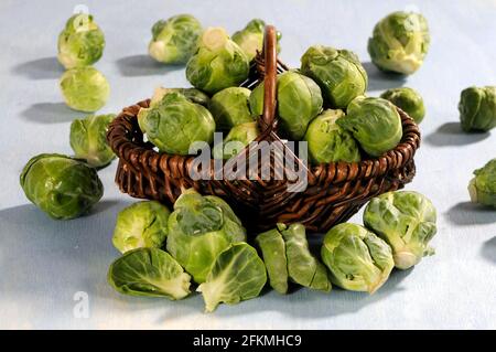 Brussels sprouts (Brassica oleracea var. bullata subvar. gemmifera DC) Stock Photo