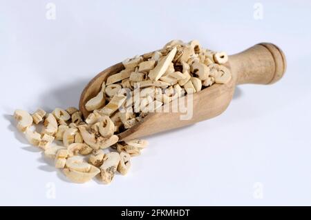 Diptam root bark (Dictamni Cortex), Bai Xian Pi, cutout, object Stock Photo