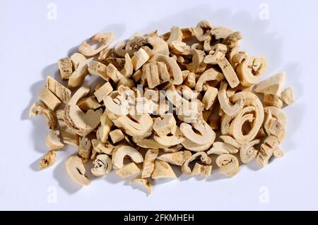 Diptam root bark (Dictamni Cortex), Bai Xian Pi, cutout, object Stock Photo