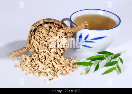 Cup of Diptam Root Bark Tea (Dictamni Cortex), Bai Xian Pi, Diptam Root Bark Tea, Diptam Root Bark Tea Stock Photo