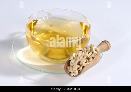 Cup of Diptam Root Bark Tea (Dictamni Cortex), Bai Xian Pi, Diptam Root Bark Tea, Diptam Root Bark Tea Stock Photo