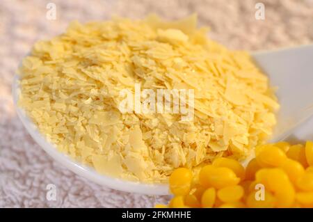 Carnauba wax (Copernicia cerifera), Cera carnauba Stock Photo