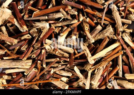 Honeysuckle stem (Lonicerae caulis), Ren Dong Teng, Honeysuckle stalk, Honeysuckle stem Stock Photo