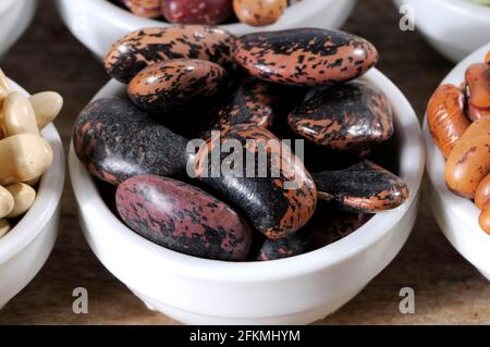 Fire beans (Phaseolus multiflorus), beetle bean (Phaseolus coccineus), pod Stock Photo