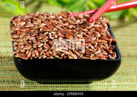 Camargue rice (Oryza), husk Stock Photo - Alamy