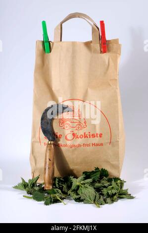 Drying herbs in a paper bag, Stinging nettle (Urtica dioica), sickle knife, sickle Stock Photo