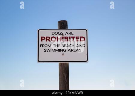 Dogs prohibited from the beach and swimming areas sign on wooden post with blue sky background Stock Photo