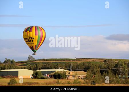 Hot Air Balloon by Balloon Aloft Australia flying over grape vines in the Hunter Valley, Pokolbin, NSW, Australia Stock Photo