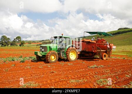 Harvesting potatoes using a John Deere 6620 tractor and Kverneland UN5300 potato harvester. There are four farm workers standing on the machine Stock Photo