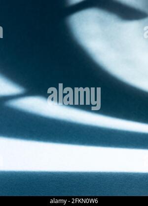 Abstract curved hard shadows made by natural light on curved dark navy blue paper background. Selective focus. Natural light. Large copy space. Vertic Stock Photo