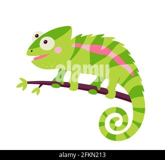 Funny chameleon lizard character. Green reptile with curved tail sitting on branch of jungle tree. Isolated vector illustration on white background Stock Vector