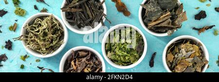 Seaweed panorama, shot from above on a blue background. Various types of edible algae Stock Photo