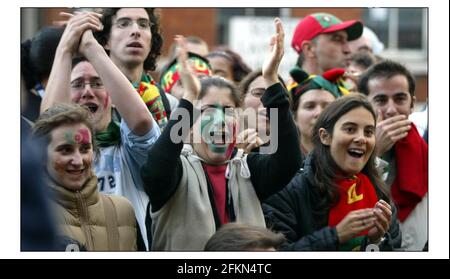 England fans watch the Euro 2004 match between England and Croatia