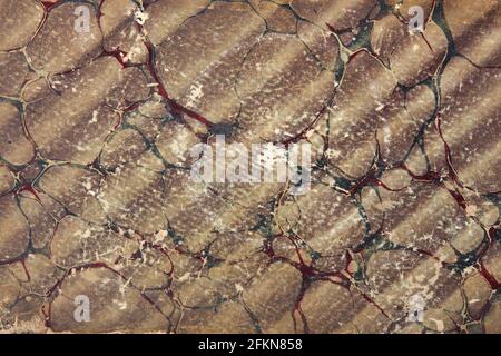 Old paper background with brown, green, and red abstract design texture background Stock Photo