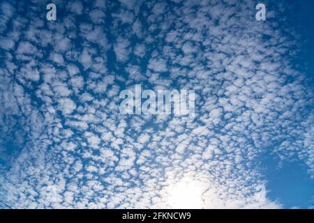 Sky, fleecy clouds, cumulus clouds, Stock Photo