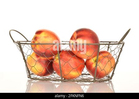 Several juicy organic nectarines in a wire basket, close-up, isolated on white. Stock Photo