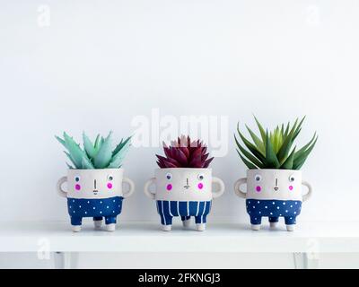 Cute face ceramic plant pots with green and red succulent plants on white wooden shelf isolated on white wall background with copy space. Three small Stock Photo