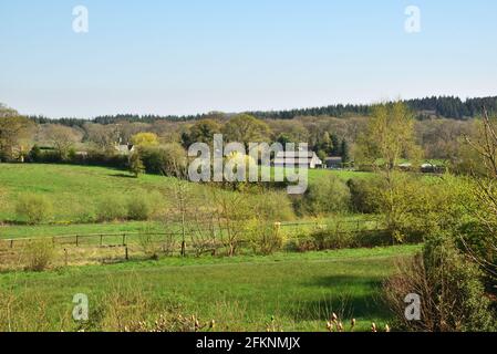 New Forest farmland near Minstead, Hampshire Stock Photo