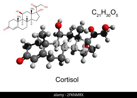 Chemical formula, skeletal formula and 3D ball-and-stick model of hormone cortisol, white background Stock Photo