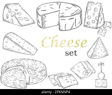 Sketch of different types of cheese. Vector. Hand drawing. Stock Vector