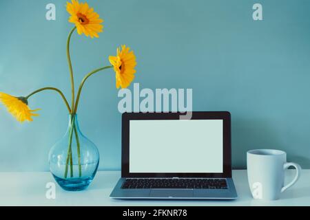 The modern workplace - desk with laptop mockup white empty screen, coffee cup, and fresh yellow gerbera flowers in the vase on the blue background Stock Photo