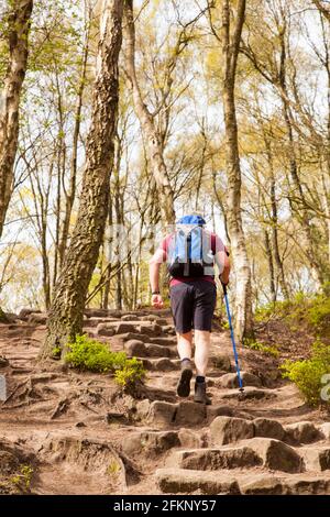 Man backpacker walking rambling climbing up sandstone steps along the Sandstone Trail a 34 mile footpath through the Cheshire countryside Stock Photo