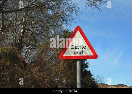 Cattle grid sign, black text on white background in red triangle. Road sign with background of trees and blue sky. Taken in Scotland, UK. Stock Photo