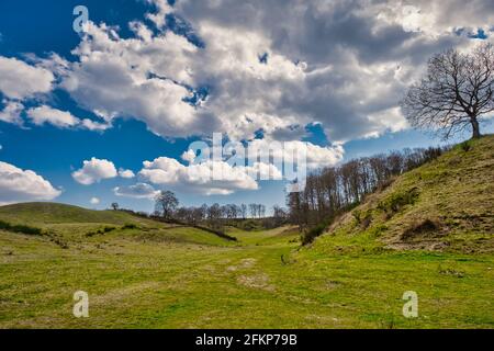 Svanninge hills near Faaborg, Denmark Stock Photo