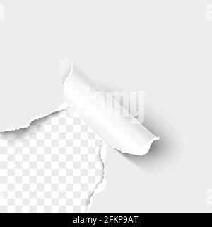 Paper corner torn hole lower left corner of white paper sheet with paper curl isolated on transparent background realistic vector illustration Stock Vector