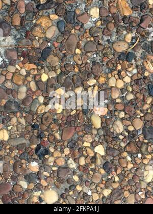 Natural river stone pebble pavement texture background Stock Photo