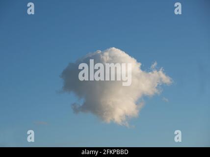 Lonely cloud in blue sky Stock Photo