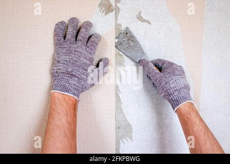 Process of flat renovation. Caucasian male hands tearing off old wallpaper from wall preparing for home redecoration Stock Photo