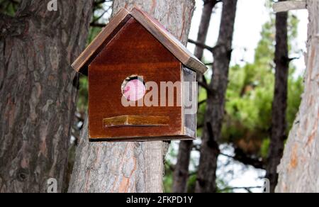 Small wooden birdhouse on tree in forest Stock Photo