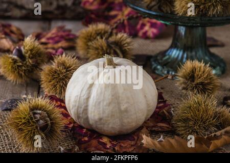 White ornamental pumpkin and chestnuts with autumnal natural decoration Stock Photo