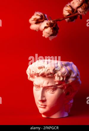 Plaster pot in the form of David's head on a red background. Stock Photo