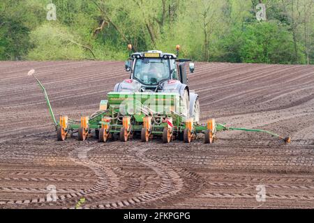 Tractor and seed drill sowing maze sweetcorn seed on farmland in the English countryside Stock Photo