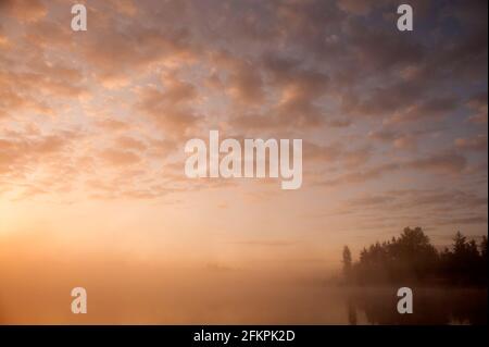 Lake Cassidy sunrise in fog with altocumulus clouds Stock Photo