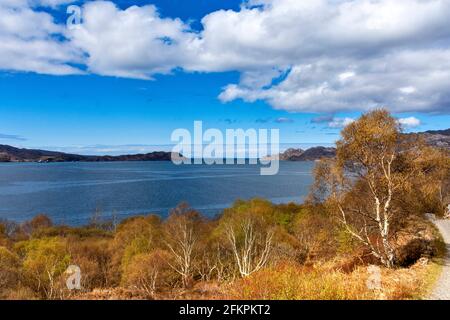 SHIELDAIG WESTER ROSS HIGHLANDS SCOTLAND THE SHORE OF LOCH SHIELDAIG AND SILVER BIRCH TREES Betula pendula IN SPRINGTIME Stock Photo