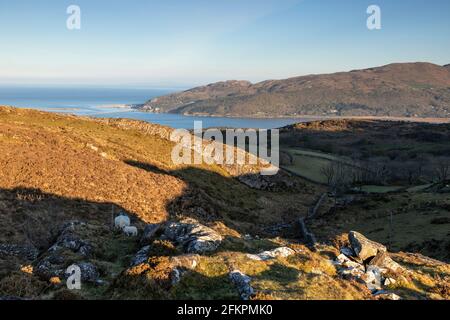 Mawddach estuary and Barmouth on the welsh coast Stock Photo