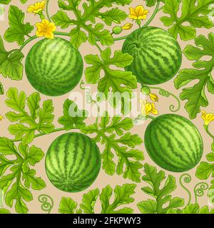 watermelon pattern on color background Stock Vector