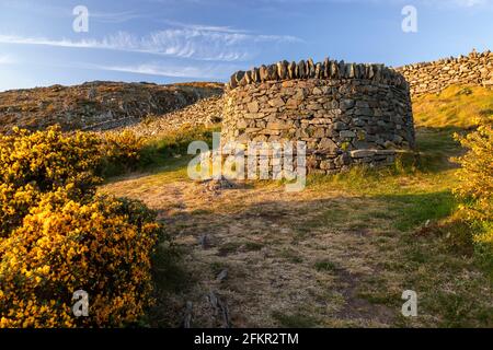 Drystone wall at Dinas Oleu, Barmouth, Wales Stock Photo