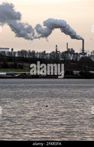 WA19567-00...WASHINGTON - Smoke produced at the Puget Sound Refinery at March Point on Fidalgo Bay near Anacortes. Stock Photo