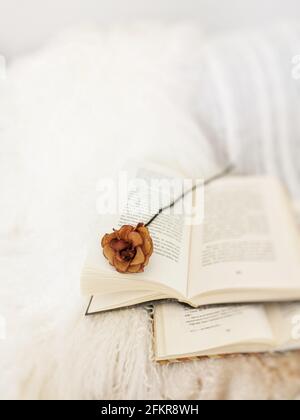 Closeup shot of dried rose laying over an open book Stock Photo