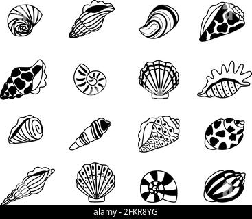Seashells sketch icons. Sea conchas of clam and oyster sketches, kraken elements of concept of ocean treasure, vector illustration marine shell isolated on white background Stock Vector